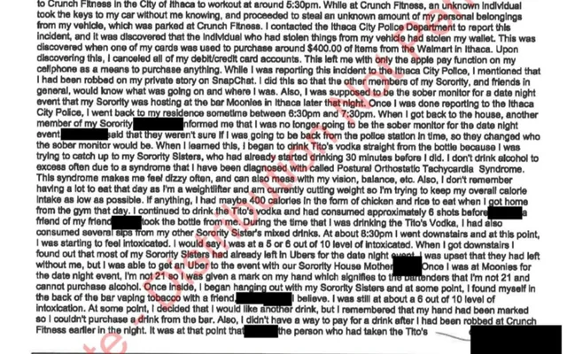 Lucy Craig's Police Statement