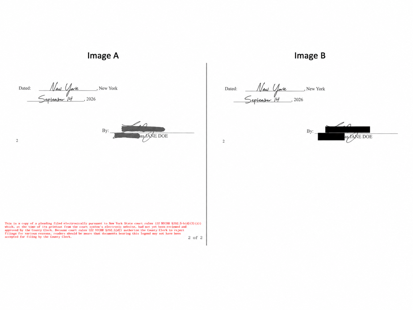 Jane Done's Redacted Signature Comparison