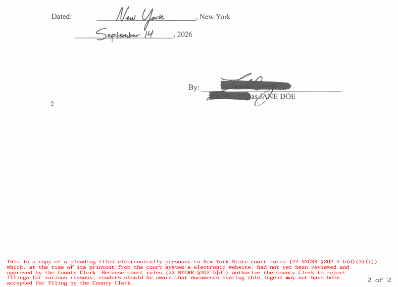 Poorly Redacted Internal Submission (Prior to Public Availability)